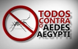  Para o combate ao mosquito Aedes aegypti conte com os serviços de Dedetização e Termonebulização da Matrix Dedetizadora. Ligue (11)5814-6401